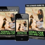 Train Your Pets Ebook Review: Best Guide for Dog & Cat Training